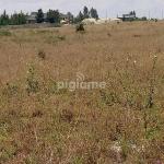 Eserian plains Kajiado Town Kajiado