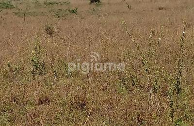 Eserian plains Kajiado Town Kajiado