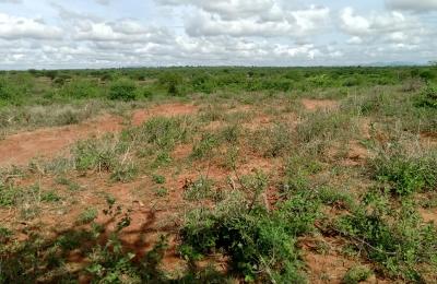 JUJA FARM PLOT FOR SALE