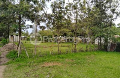 Residential Land for sale Jamilo School, Nyamasaria Kisumu