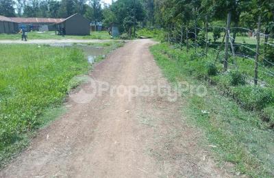 Land for sale 500 metres from Nairobi Road, Nyamasaria Kisumu