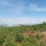 Land for sale off Bondo Road, Southwest Kisumu Kisumu West Kisumu