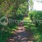 Ideal 14.2 Acres Land