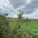 Residenial Land for Sale Eastern Bypass Mwiki Nairobi